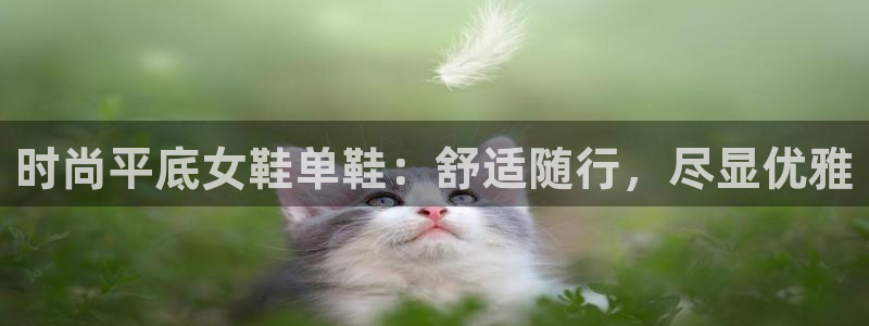 ag真人国际