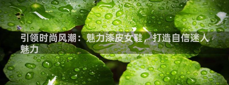 ag真人官网