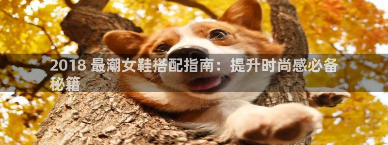 ag真人娱乐平台