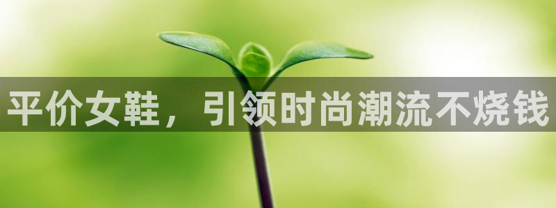 ag真人国际官网