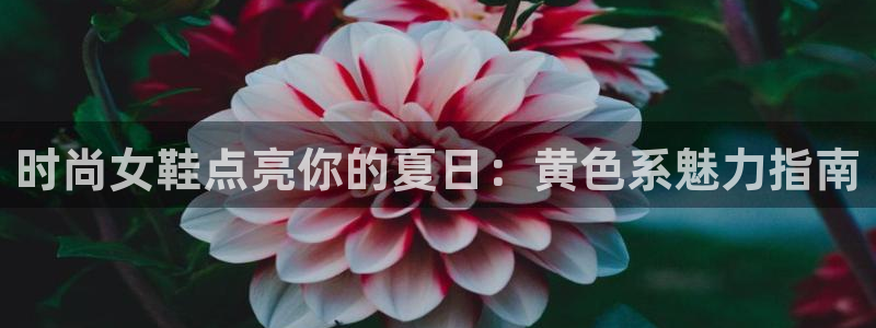 ag真人国际厅