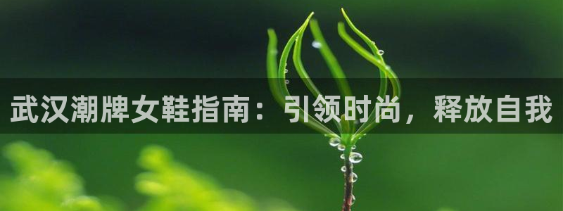ag真人游戏平台