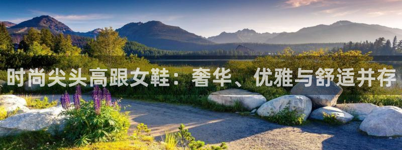 ag真人国际厅