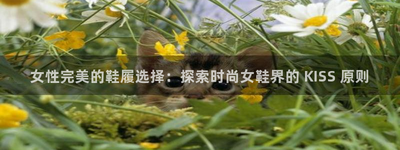 ag真人平台官方