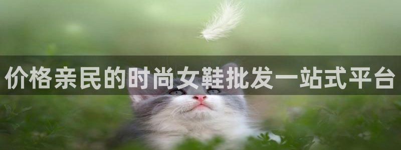 ag真人国际